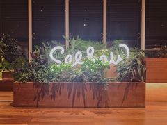 -Seesaw Coffee(朝阳大悦城店)