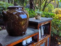 -腾冲洞山温泉村