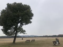 -山明水秀大饭店