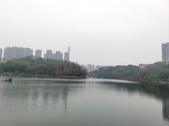 -重庆彩云湖湿地公园