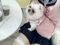 -怪兽屋·羊驼·猫咖·狗咖(俊华广场店)