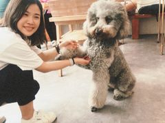 -沏点Trattoria意大利餐厅(新街口店)