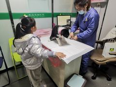 -半岛宠物医院24小时(科华中路店)