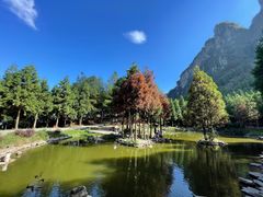 -重庆睡佛山森林公园