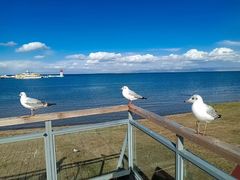 -青海湖仙女湾景区
