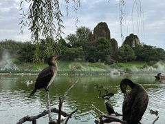 -北京野生动物园