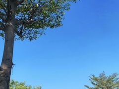 -深圳湾公园(南山区)