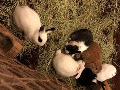 -上海苏航生活广场