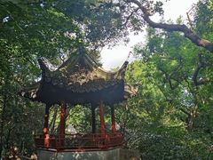-秋霞圃