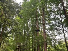 -灵栖洞天