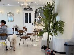 -共舞时光猫咖·狗咖(新街口店)