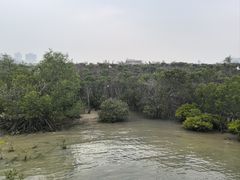 -霞山观海长廊