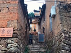 -杨家堂村