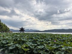 -知味观(湖滨店)