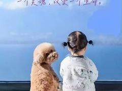 -流光速卡丁车俱乐部(宝山店)