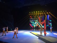 -重庆国际马戏城