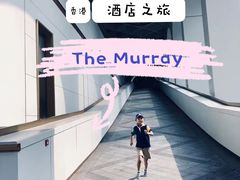 -尼依格罗香港美利酒店