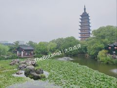 -常熟方塔园