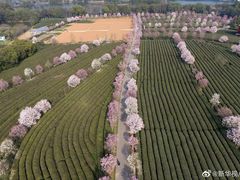 -凤凰沟景区