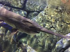 -成都浩海立方海洋公园