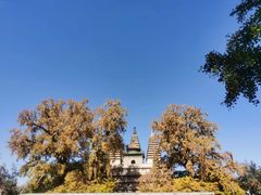 -北京石刻艺术博物馆(五塔寺)