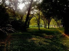 -华南国家植物园-售票处