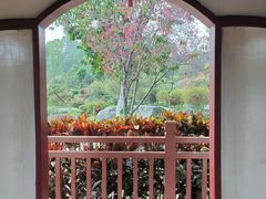 -东莞植物园