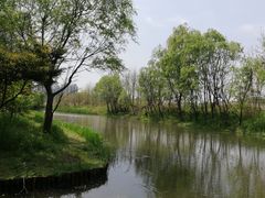 -新江湾城公园