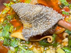 -大龙火锅(老店)