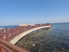 -养马岛旅游度假区