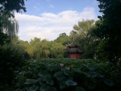 -墅园