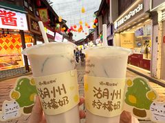 -猫的魔法密林(衣裳街店)
