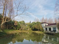 独栋小楼外景-上海怡沁园度假酒店