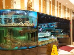 水产区-金翠皇宫粤菜·点心·海鲜(科技园店)