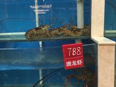 水产区-卫鼎轩·曹公馆(鼓楼店)