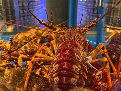 -上和臻品中国菜(花园街店)