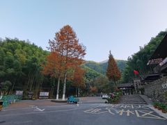 -仙霞关景区