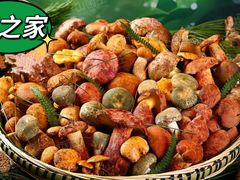 -菌之家·专业纯野生菌火锅·特色炒菌