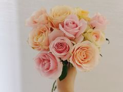 -循礼门鲜花花市(武汉循礼门店)