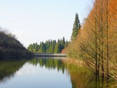 -山王坪喀斯特国家生态公园