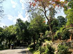 -深圳国际园林花卉博览园