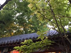 院子-程府宴-国宴(南长街·四合院店)
