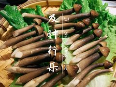 -狐狸爱上椰子鸡(滨江星光大道店)