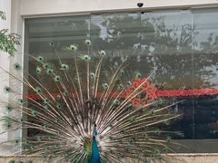 -西昌邛海宾馆