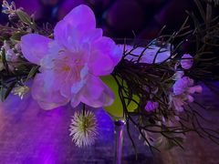 -遇见MeeT音乐酒吧(昌平鼓楼店)