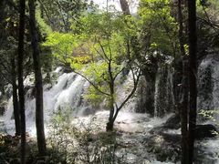 -九寨沟-树正沟