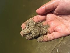 -佛山祈福仙湖酒店