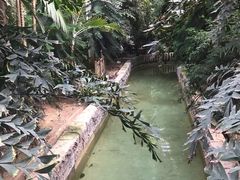 -龙达温泉生态城