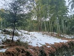 -东明山森林公园
