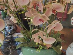 -八府香鸭·啫啫煲(华山路店)